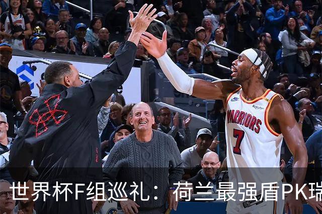 世界杯F组巡礼：荷兰最强盾PK瑞典犀利刀 日本短板明显